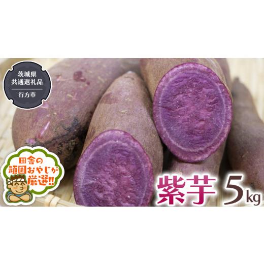 ふるさと納税 野菜類 サツマイモ 茨城県 つくばみらい市 紫芋 5kg 2026年12月より発送開始 (茨城県共通返礼品 さつまいも :行方市産) さつまいも 紫芋 芋 …