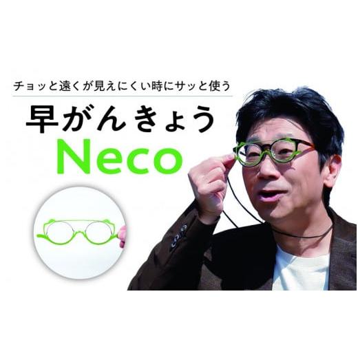 ふるさと納税 雑貨・日用品 福井県 坂井市 B-8101_03 チョッと遠くが見えにくい時にサッと使う"サポートグラス" 早がんきょう Neco ラズベリー ラ…