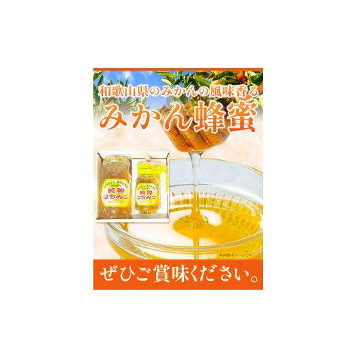 ふるさと納税 加工品等 はちみつ 和歌山県 岩出市 純粋はちみつ(みかん蜂蜜)ギフトセット ２本セット 1200g×1本＋450g×1本 梅田養蜂場《90日以内に出荷予定(…の画像