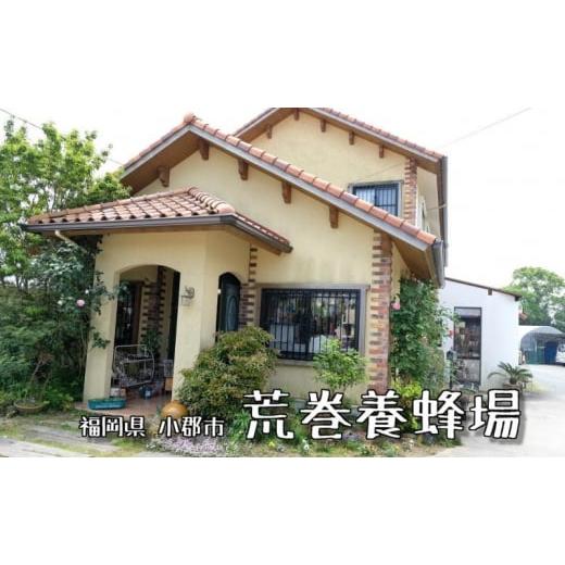 ふるさと納税 加工品等 はちみつ 福岡県 小郡市 はちみつ 化粧箱入り 国産 天然 純はちみつ 600g×2本セット もちのき＆やまみつ ギフト 《包装対応、手提げ袋…の画像