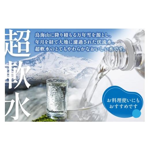 ふるさと納税 水・ミネラルウォーター 500mL〜999mL 秋田県 由利本荘市 《定期便6ヶ月》鳥海山自然水(500ml)30本×6か月連続 計180本の画像