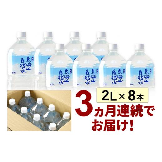 ふるさと納税 水・ミネラルウォーター 500mL〜999mL 秋田県 由利本荘市 《定期便3ヶ月》鳥海山自然水(2L)8本×3か月連続 計24本_3