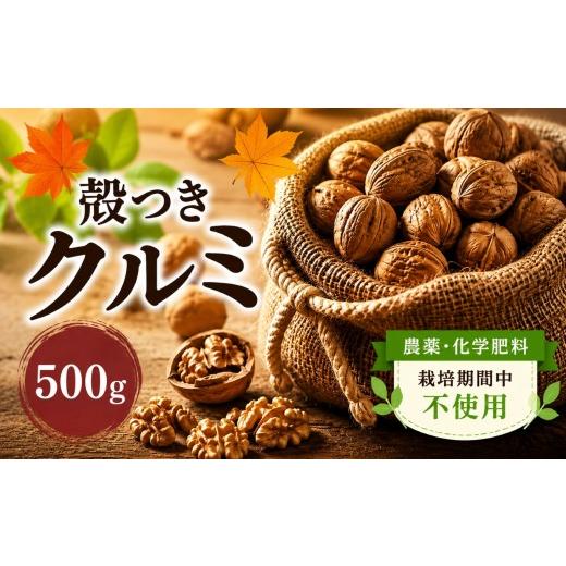 ふるさと納税 果物類 長野県 塩尻市 2025年秋収穫 殻つきクルミ 500g [農薬・化学肥料 栽培期間中不使用] | くるみ クルミ 胡桃 殻つき プレゼント ギフト…