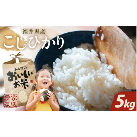 ふるさと納税 米 コシヒカリ 福井県 坂井市 先行予約 令和8年産・新米 玄米 5kg コシヒカリ 5kg 〜本原農園からまごころコメて〜 2026年10月上旬以降順次発送…