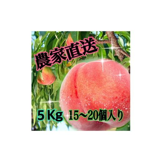 ふるさと納税 もも 山梨県 甲州市 生産者直送 ジューシー こだわりの朝採り桃 約5キロ(15〜20個) 2026年発送 (ISI)C2-155 桃 もも モモ 令和8年発送 期間…