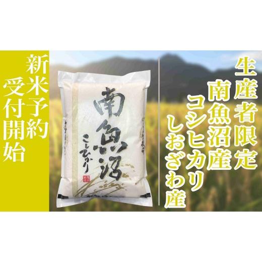 ふるさと納税 米 コシヒカリ 新潟県 南魚沼市  令和8年産 新米予約 定期便６ヶ月：精米2kg生産者限定 南魚沼しおざわ産コシヒカリ 2026年10月上旬から1ヶ月以…の画像