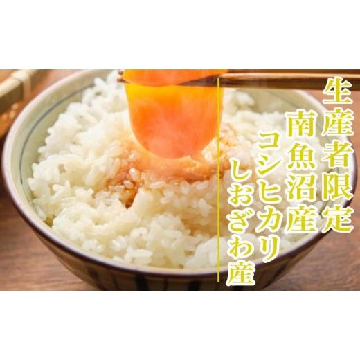 ふるさと納税 米 コシヒカリ 新潟県 南魚沼市  令和8年産 新米予約 定期便６ヶ月：精米2kg生産者限定 南魚沼しおざわ産コシヒカリ 2026年10月上旬から1ヶ月以…の画像