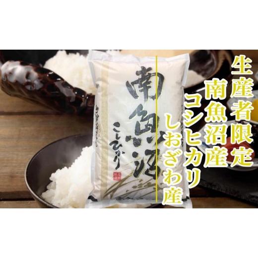 ふるさと納税 米 コシヒカリ 新潟県 南魚沼市  令和8年産 新米予約 定期便６ヶ月：精米2kg生産者限定 南魚沼しおざわ産コシヒカリ 2026年10月上旬から1ヶ月以…の画像