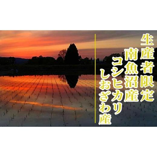 ふるさと納税 米 コシヒカリ 新潟県 南魚沼市  令和8年産 新米予約 定期便６ヶ月：精米2kg生産者限定 南魚沼しおざわ産コシヒカリ 2026年10月上旬から1ヶ月以…の画像