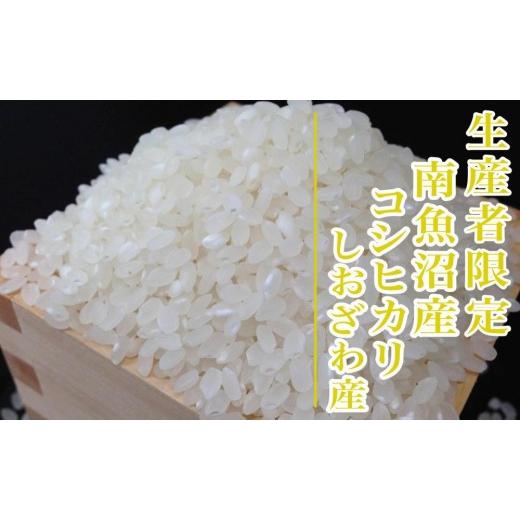 ふるさと納税 米 コシヒカリ 新潟県 南魚沼市  令和8年産 新米予約 定期便６ヶ月：精米2kg生産者限定 南魚沼しおざわ産コシヒカリ 2026年10月上旬から1ヶ月以…の画像