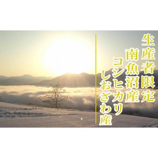 ふるさと納税 米 コシヒカリ 新潟県 南魚沼市  令和8年産 新米予約 定期便６ヶ月：精米2kg生産者限定 南魚沼しおざわ産コシヒカリ 2026年10月上旬から1ヶ月以…の画像