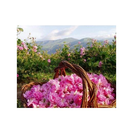 ふるさと納税 佐賀県 - 飲むバラ　ローズカクテル（A64004-07） 