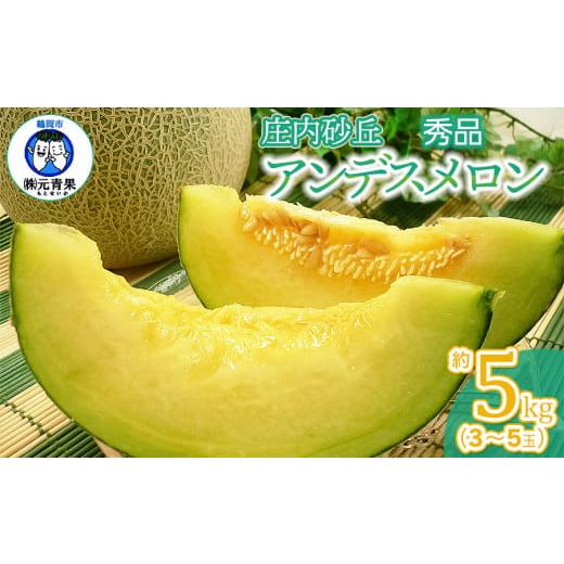 ふるさと納税 メロン メロン青肉 山形県 鶴岡市 令和8年産先行予約 アンデスメロン 秀品 約5kg (3〜5玉) 山形県鶴岡市産 株式会社 元青果