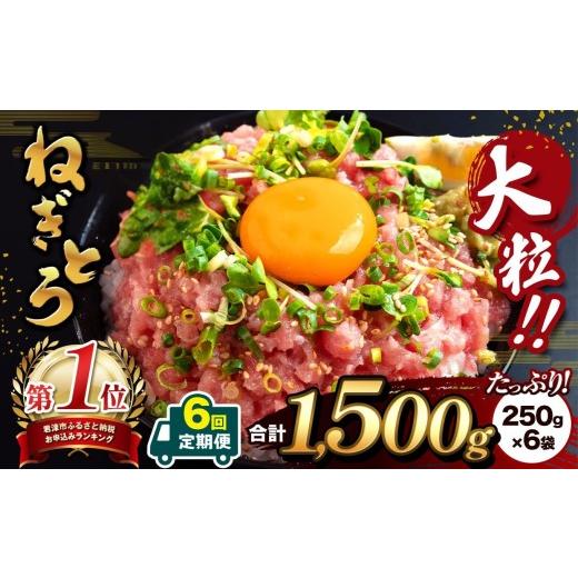 ふるさと納税 マグロ 千葉県 君津市  定期便 ・ 6ヶ月 清幸丸水産 大人気 ねぎとろ 1500g | ネギトロ とろ 鮪 海鮮 魚介 魚 人気 小分け 人気 定番 ご飯 オス…の画像