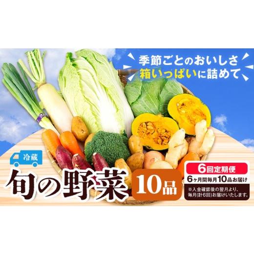 ふるさと納税 セット・詰合せ 熊本県 菊池市 旬の野菜 定期便 計6回 旬の野菜 10品 養生市場 定期便 品種おまかせ ランダム 6ヶ月お届け 計6回 詰め合わせ セ…