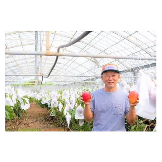ふるさと納税 マンゴー 沖縄県 宮古島市  2026年夏発送 贈答用 インカジ・トゥ・パリ マンゴー 完熟マンゴー 約２kg（5玉〜6玉) 潮風の里 (HA001)_1