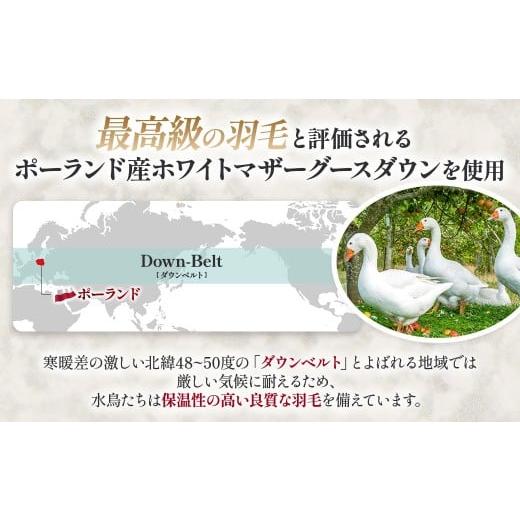 ふるさと納税 タオル・寝具 掛け布団 山梨県 甲斐市  本掛け布団 羽毛掛け布団 Luxury（ラグジュアリー）（クイーン：220cm×210cm）ポーランド産ホワイトマ…の画像
