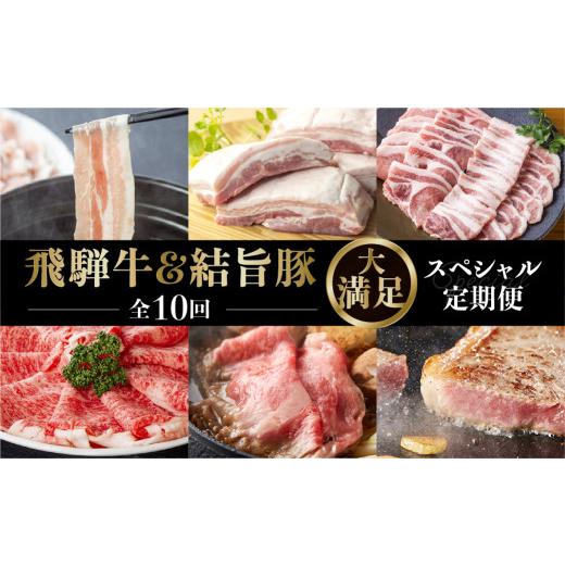 ふるさと納税 牛肉 セット 岐阜県 白川村 《定期便10回》飛騨牛＆結旨豚　食べきりタイプ スペシャル定期便 10か月 焼肉 サーロイン ロース モモ すき焼き し…