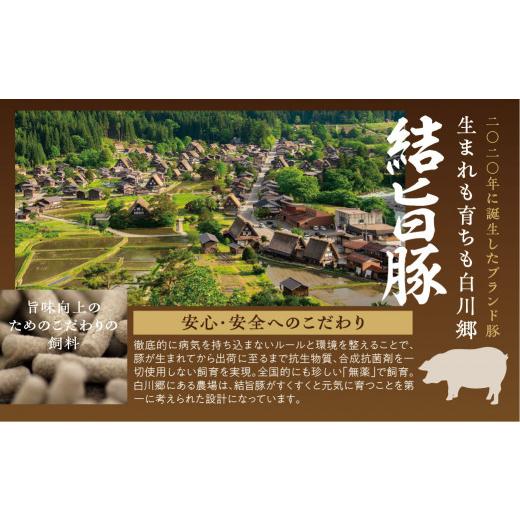 ふるさと納税 牛肉 セット 岐阜県 白川村 《定期便10回》飛騨牛＆結旨豚　食べきりタイプ スペシャル定期便 10か月 焼肉 サーロイン ロース モモ すき焼き し…