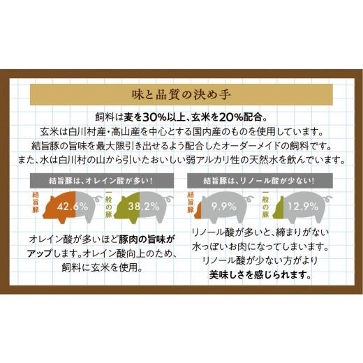 ふるさと納税 牛肉 セット 岐阜県 白川村 《定期便10回》飛騨牛＆結旨豚　食べきりタイプ スペシャル定期便 10か月 焼肉 サーロイン ロース モモ すき焼き し…