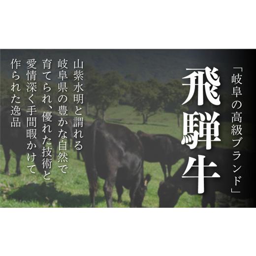 ふるさと納税 牛肉 セット 岐阜県 白川村 《定期便10回》飛騨牛＆結旨豚　食べきりタイプ スペシャル定期便 10か月 焼肉 サーロイン ロース モモ すき焼き し…