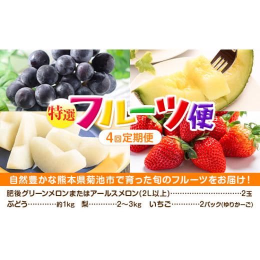ふるさと納税 メロン 熊本県 菊池市 定期便4回 厳選 フルーツ 便 ( メロン ぶどう 梨 いちご ) [お申込み月の翌月から出荷開始] 葡萄 ブドウ ナシ なし 苺 …