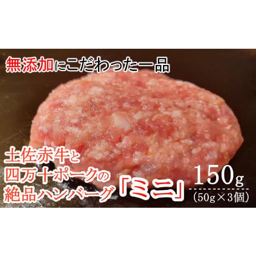 ふるさと納税 高知県 室戸市 ハンバーガー屋の本気ミニハンバーグ150g(50g×3個) [ 国産 高知県産 牛肉 豚肉 ブランド肉 希少 土佐あかうし 四万十ポーク…