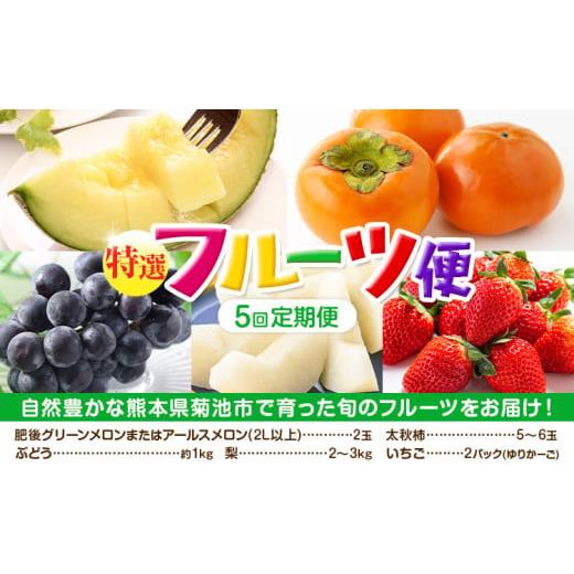 ふるさと納税 果物の詰合せ 熊本県 菊池市 定期便5回 厳選 フルーツ 便 ( メロン ぶどう 梨 柿 いちご ) [お申込み月の翌月から出荷開始] 葡萄 ブドウ ナシ…