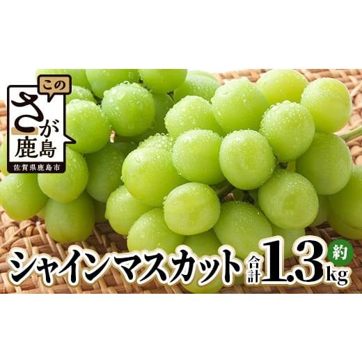 ふるさと納税 佐賀県 鹿島市 先行予約 シャインマスカット 2〜3房 約1.3kg 佐賀県産 旬の採れたてシャインマスカット 2024年9月上旬以降発送 果物 フルーツ ふ…