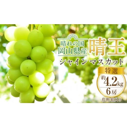 ふるさと納税 岡山県 倉敷市 JA12 シャインマスカット 晴王 特選 合計約4.2kg 6房化粧箱入り 岡山県産