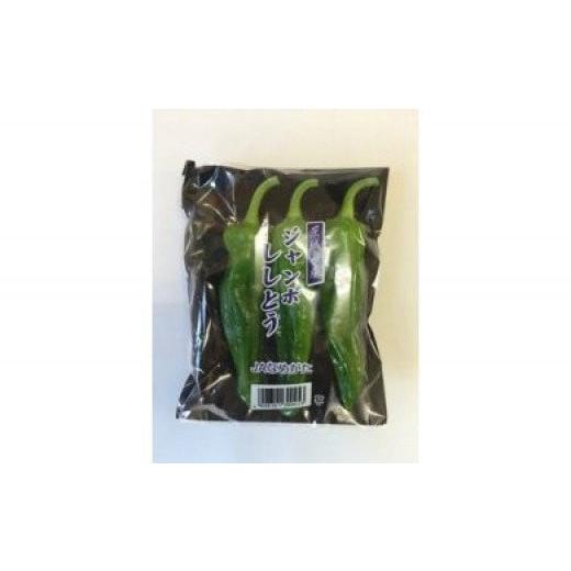 ふるさと納税 野菜類 茨城県 行方市 夏限定 JA ジャンボししとう 100g×10袋|茨城県 行方市 ふるさと納税 野菜 獅子唐 シシトウ 国産(AE-21)