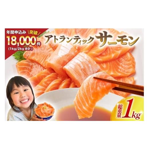 ふるさと納税 魚貝類 サーモン 宮城県 気仙沼市 ノルウェー産 アトランティックサーモン 総重量 1kg (正味重量850g) カネダイ 宮城県 気仙沼市 20565509 魚 魚…