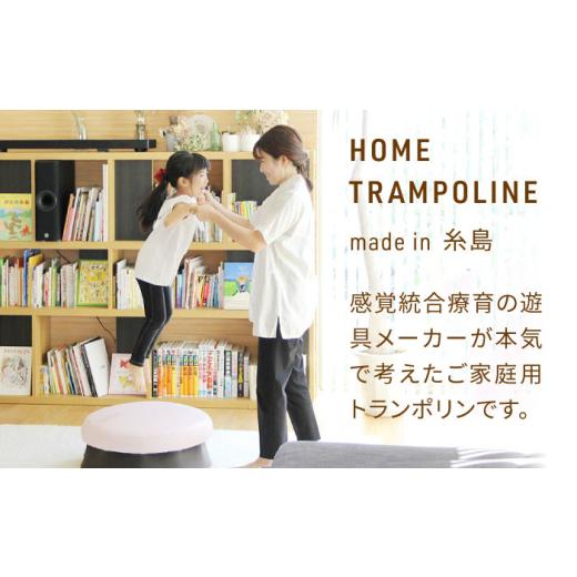 ふるさと納税 スポーツ・アウトドア 福岡県 糸島市  ピスタチオ ホームトランポリン シンプルタイプ 糸島市 ／ 未来航路 クッション インテリア AAB009-1 ピス…_2