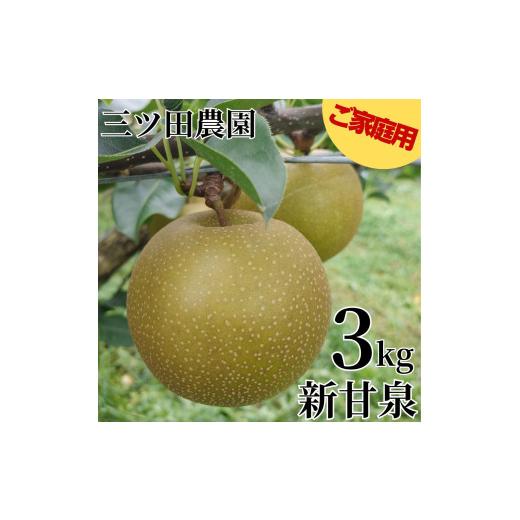 ふるさと納税 梨 鳥取県 湯梨浜町 204M. 三ツ田農園 新甘泉3kg〔ご家庭用〕