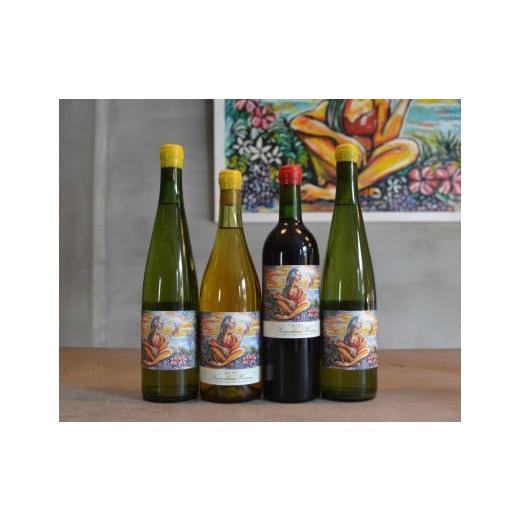 ふるさと納税 神奈川県 鎌倉市 鎌倉ワイナリー創業記念！ ワイン4本＋ 鎌倉産やさい（約1kg）セット