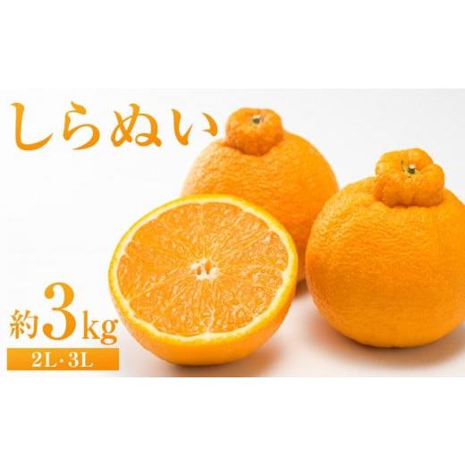 ふるさと納税 みかん・柑橘類 広島県 尾道市 しらぬい 約3kg(2L・3L) 2026年2月下旬から発送 不知火 柑橘 フルーツ 果物 くだもの 食品 人気 おすすめ 広島…