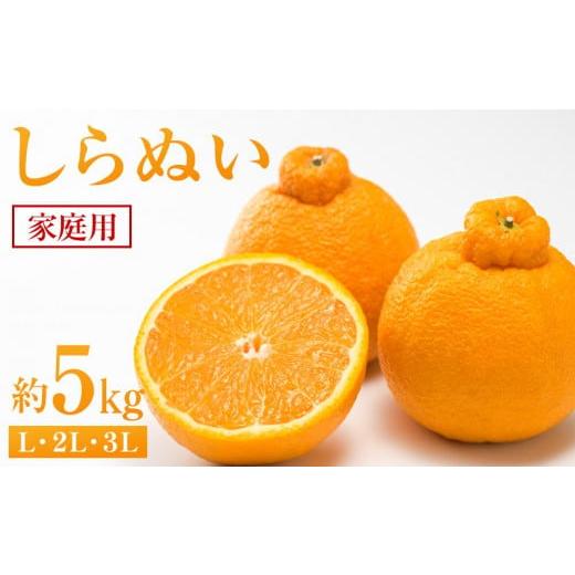 ふるさと納税 みかん・柑橘類 広島県 尾道市 しらぬい 約5kg(家庭用) 2026年2月から発送 不知火 柑橘 フルーツ 果物 くだもの 食品 人気 おすすめ 広島県 尾…