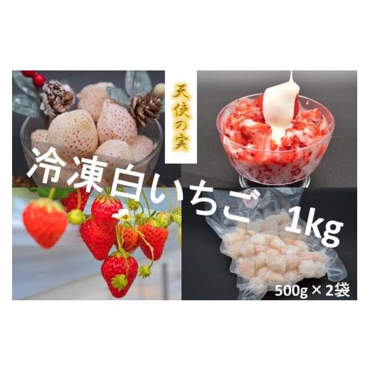 ふるさと納税 千葉県 四街道市 シエルファーム 冷凍白いちご 天使の実 1kg / 苺 千葉 希少品種