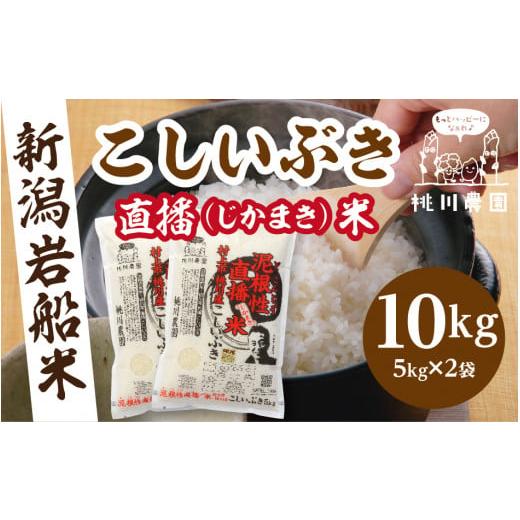 ふるさと納税 米 新潟県 村上市 精米即日発送 令和7年産米 新潟県村上市桃川産 直播米 泥根性こしいぶき10kg 1040004