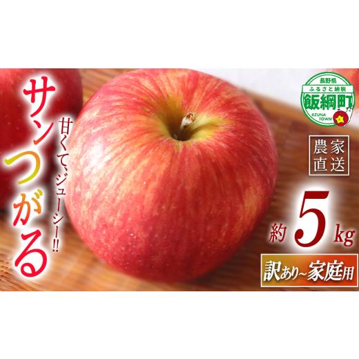 ふるさと納税 りんご 長野県 飯綱町 りんご サンつがる 訳あり ~ 家庭用 5kg マルハ農園 沖縄県への配送不可 2026年9月上旬頃から2026年9月中旬頃まで順次発送…