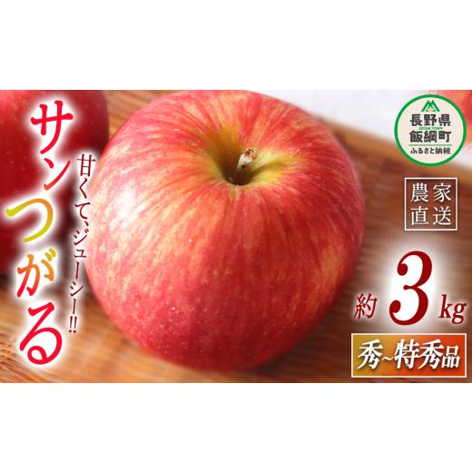ふるさと納税 りんご 長野県 飯綱町 りんご サンつがる 秀〜特秀3kg マルハ農園 沖縄県への配送不可 2026年9月上旬頃から2026年9月中旬頃まで順次発送予定 令…