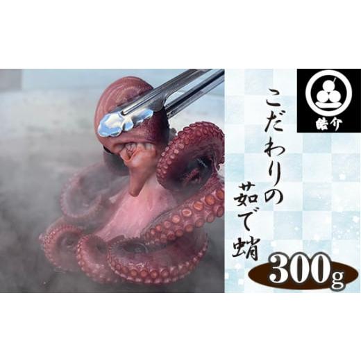 ふるさと納税 タコ 愛知県 刈谷市 No.323 行列のできるたこ焼き屋が