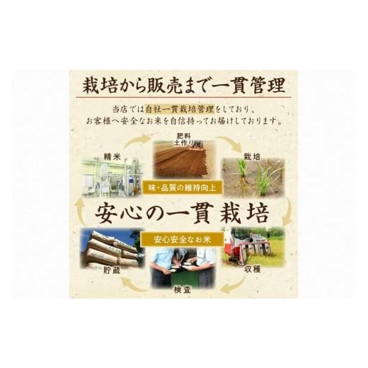 ふるさと納税 京都府 京丹後市 無洗米・コシヒカリ／2024年産 京都・丹後コシヒカリ 無洗米 5kg　作り手が見えるコシヒカリを無洗米に！ 米 無洗米、新米 無洗…｜furusatochoice｜04