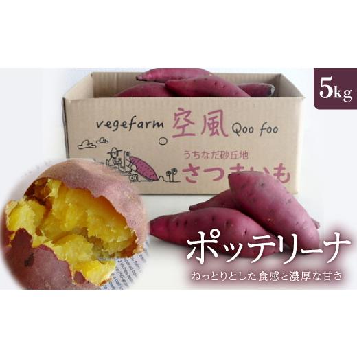 ふるさと納税 野菜類 サツマイモ 石川県 内灘町 ねっとりとした食感と濃厚な甘さ さつまいも ポッテリーナ(5kg) 1598273の画像