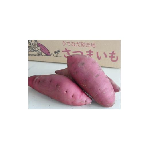ふるさと納税 野菜類 サツマイモ 石川県 内灘町 ねっとりとした食感と濃厚な甘さ さつまいも ポッテリーナ(5kg) 1598273の画像