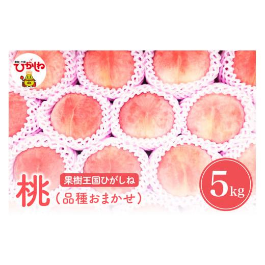 ふるさと納税 もも 山形県 東根市 2026年産 先行予約 もも「品種おまかせ」5kg 滝口観光果樹園提供 山形県 東根市 hi030-044