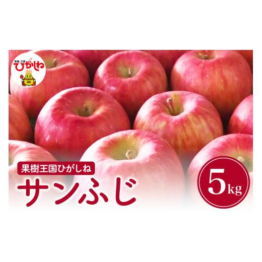 ふるさと納税 りんご 山形県 東根市 2026年産 先行予約 りんご「サンふじ」5kg 滝口観光果樹園提供 山形県 東根市 hi030-047