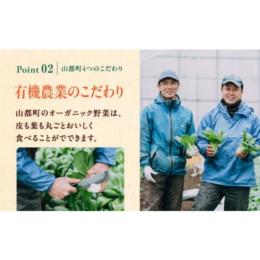 ふるさと納税 熊本県 山都町 有機野菜 オーガニック 12種 野菜セット 野菜 有機JAS認定 詰め合わせ オーガニック野菜 熊本県産 山都町産 産地直送 有機野菜 熊…｜furusatochoice｜05