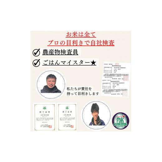 ふるさと納税 米 岡山県 瀬戸内市 定期便 2ヶ月 令和7年産 お米 10kg（5kg×2袋）ひのひかり あさひ にこまる あけぼの きぬむすめ 特A 精米 白米 ライス 単一…