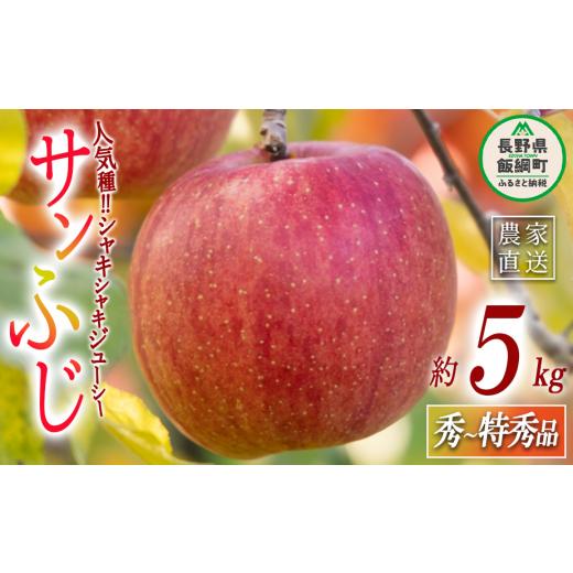 ふるさと納税 りんご 長野県 飯綱町 りんご サンふじ 秀 〜 特秀 5kg マルハ農園 2026年12月上旬頃から2026年12月中旬頃まで順次発送予定 令和8年度収穫分 エ…